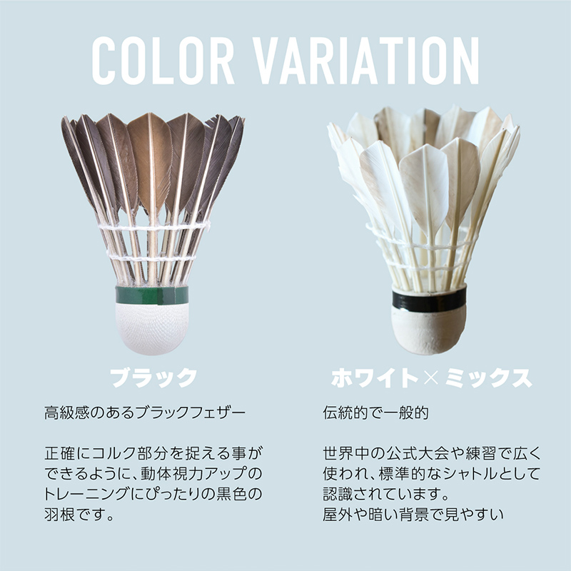 公式バドミントンシャトル 12本セット10本入り バトミントン バドミントン シャトル 羽根 羽 ブラック フェザー