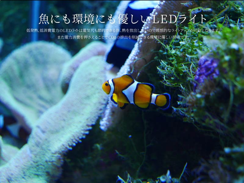 アクアリウム LED ライト 水槽 照明 45W 15LED 電球型 E26 E27
