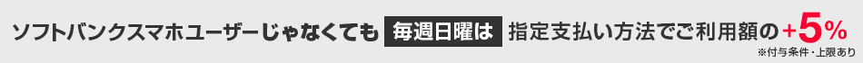 開催期間：毎月日曜日