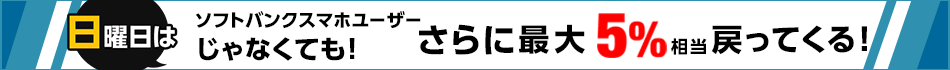 開催期間：毎月日曜日