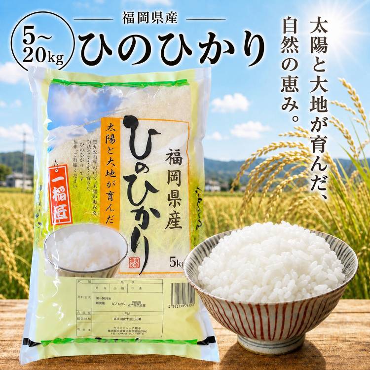 食品 【農家直送】ふっくらおいしいヒノヒカリ「20キロ」令和6年産
