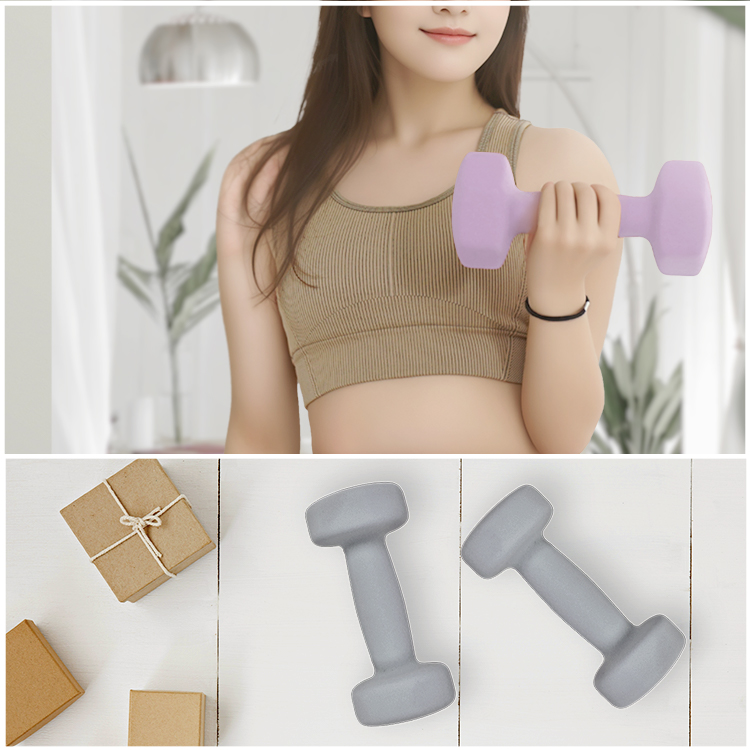 ダンベル 3kg 2個セット カラー トレーニング 腕 筋力 ウェイト ダンベル 3kg 2個セット カラー トレーニング 腕 筋力 ウェイト