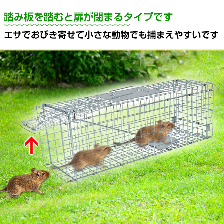 捕獲器 踏み板式 Sサイズ 折りたたみ 全長62cm アニマル