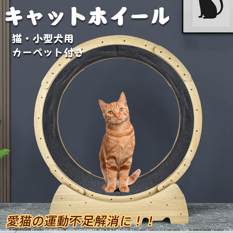 最大92％オフ！ YMGショップ猫 トレッドミル キャットホイール 低騒音