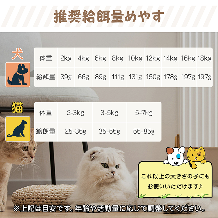 猫の自動餌やり器 自動給餌器 猫 自動餌やり機 犬 餌やり器 ペット 給餌器 ペット