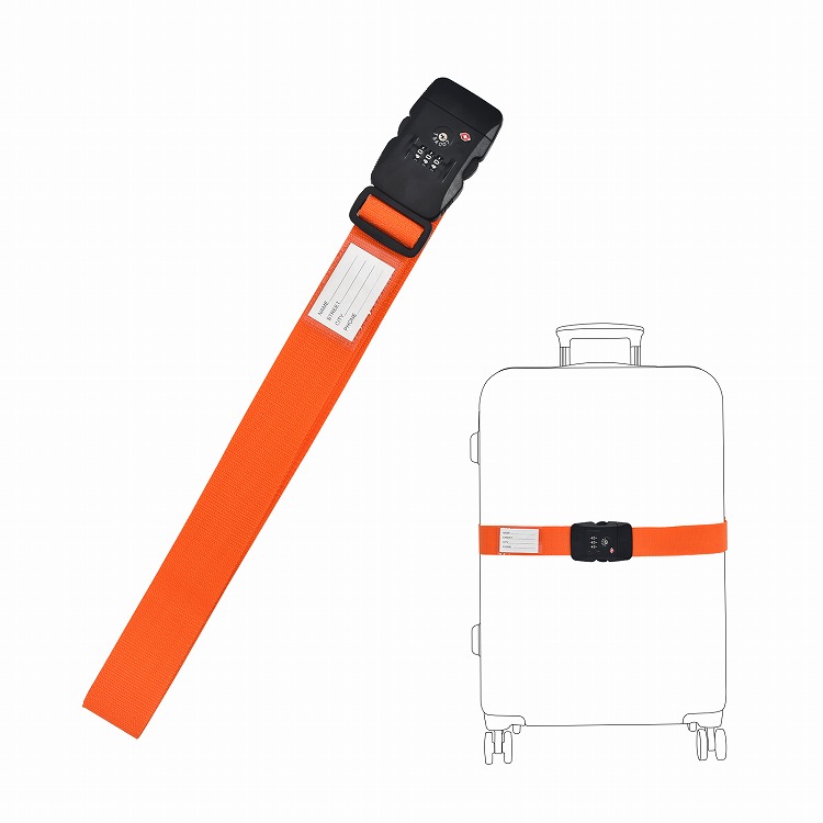 SAGE TCR 10150-4 #10 & 3600D & トラベルケースなど SAGE TCR 10150-4 #10 3600D Travel Case Included | eBay