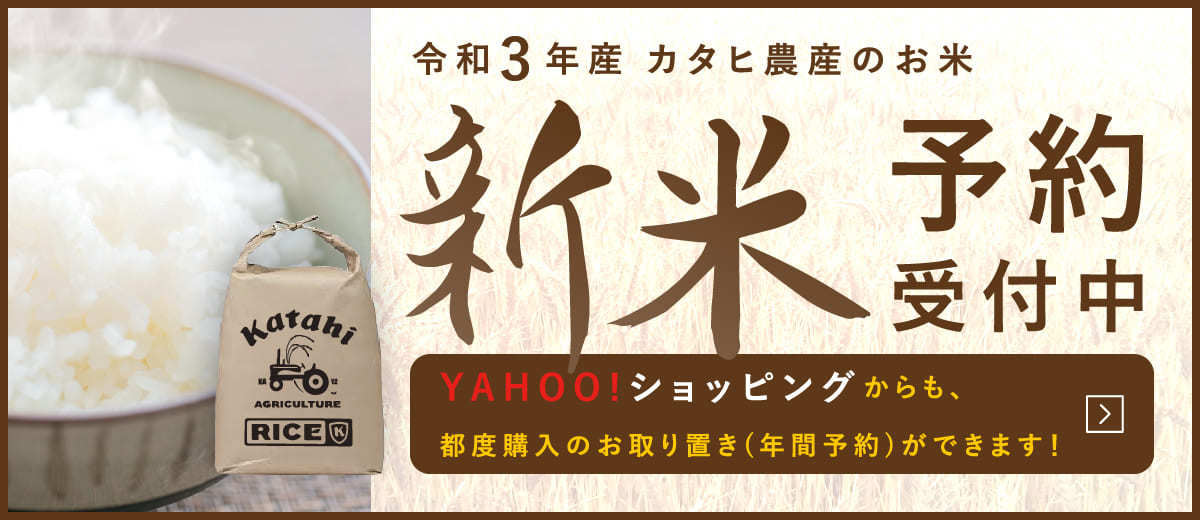 限定セール！】 令和3年産もち米玄米30kg - 米 - alrc.asia