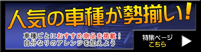 車種別特集
