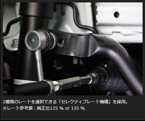 GENB（玄武） ハイエース 200系 スタビライザー REAL FORCE チューンド