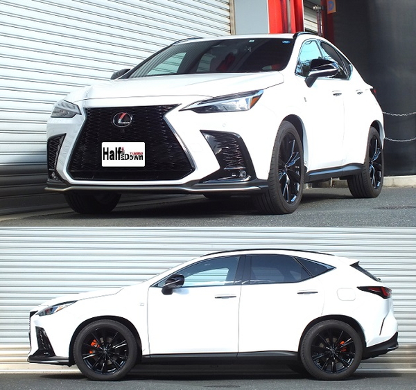 NX350 TAZA25 ダウンサス フロント左右セット RSR Ti2000ハーフダウン T539THDF RS-R RS★R Ti2000 HALF DOWN フロントのみ ローダウン | RSR | 01