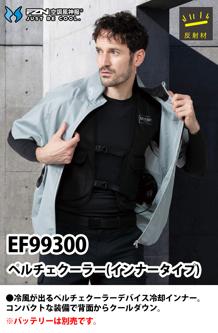 099-ef99300-02.jpg