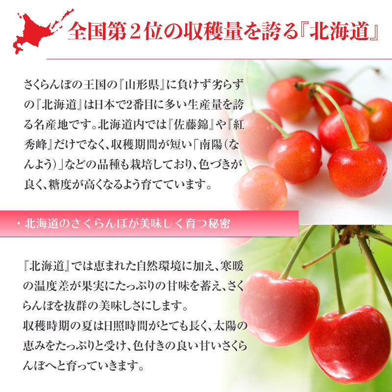 限定価格セール お中元 ギフト さくらんぼ 2lサイズ以上 500g 桐化粧箱 手詰め 北海道産 佐藤錦 紅秀峰 南陽 高糖度 贈り物 贈答用 通販 予約 7月15日 30日のご納品 年最新海外 Www Technet 21 Org