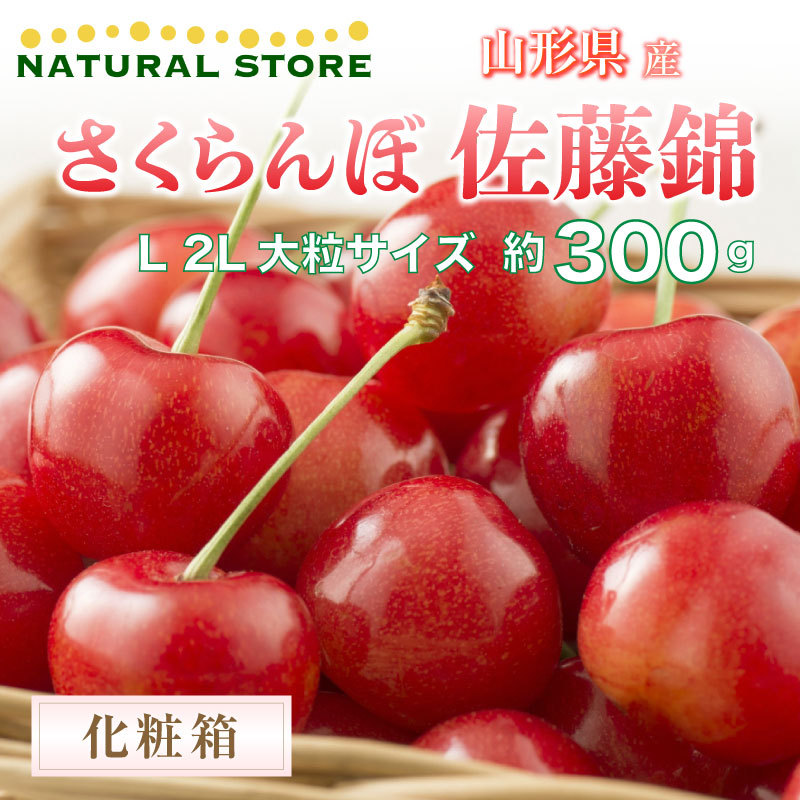 お歳暮 母の日 プレゼント カーネーション 付 さくらんぼ 佐藤錦 大粒 L 2l 300g 山形県産ほか 贈答用 ギフト 手詰め 予約 5月3日 8日のご納品 激安の Www Muslimaidusa Org