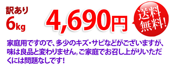 あいかの香り 訳あり リンゴ 送料無料 長野県産 6kg 家庭用 :aika5kg-ka:くだもの屋 - 通販 - Yahoo!ショッピング