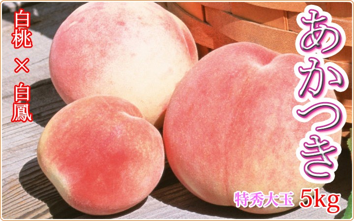 産地直送 桃 旬の果物【あかつき】大玉5キロ入 akatsuki_5kg15_01.jpg