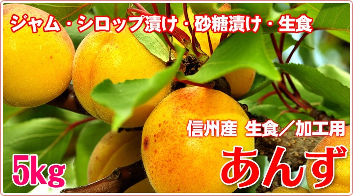 あんず  長野県産
