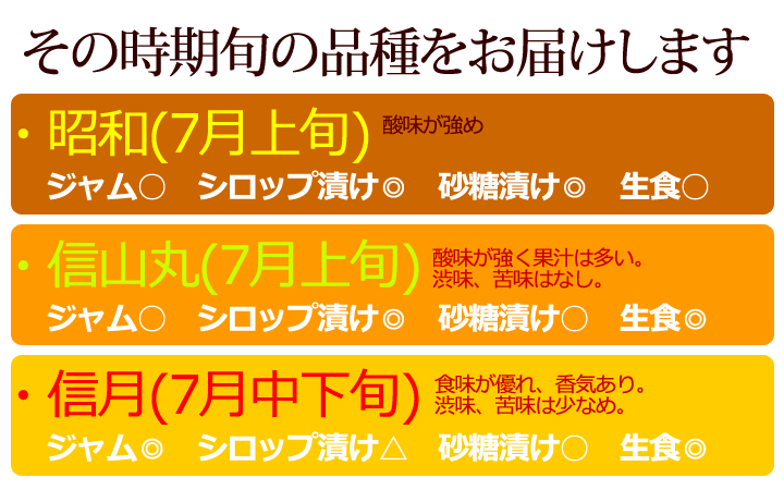 あんず  長野県産
