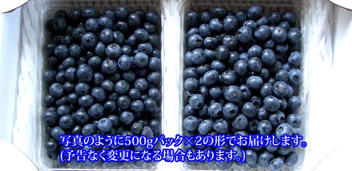 生ブルーベリー 1キロ 長野県産 フレッシュ (ポイント１０倍)