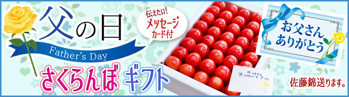 父の日ギフト
