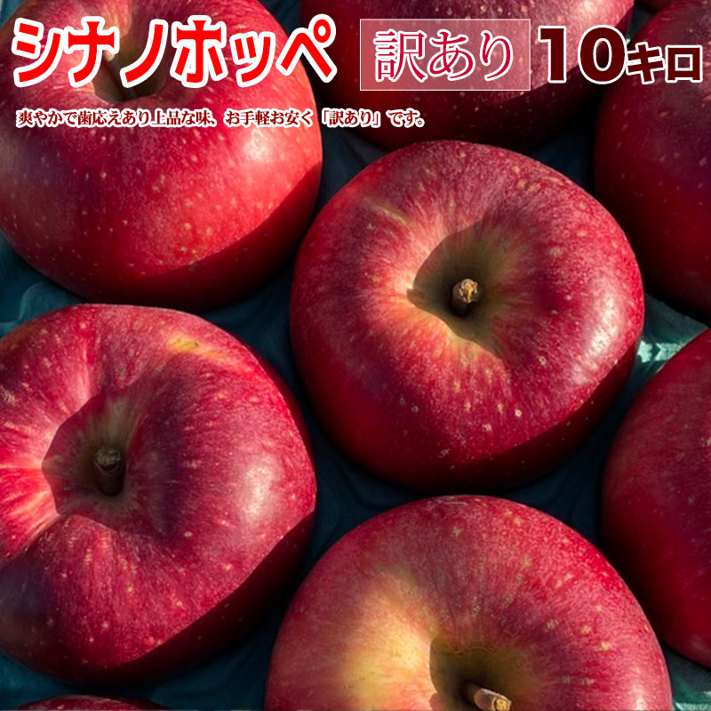 シナノホッペ 訳あり 10kg 長野県産 甘く果汁あり果肉しっかり 歯応え