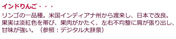 印度 りんご インド 3kg 9 13玉 懐かしいリンゴ Indiana3kg くだもの屋 通販 Yahoo ショッピング
