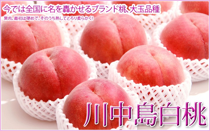 川中島白桃　美味しい美味しい白桃!