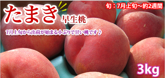 ޤ 
