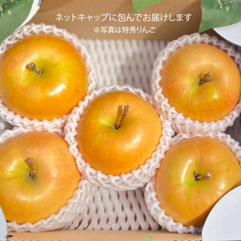 なかののきらめき ＜訳あり＞ 2kg 5-6玉 ピンク色を帯びたかわいい果実