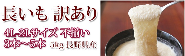 長芋 「秋の新堀り」 訳あり 3〜5本 4L-2L 5kg 粘りと味が一味違う長野県産です :nagaimo-ka:くだもの屋 - 通販 -  Yahoo!ショッピング