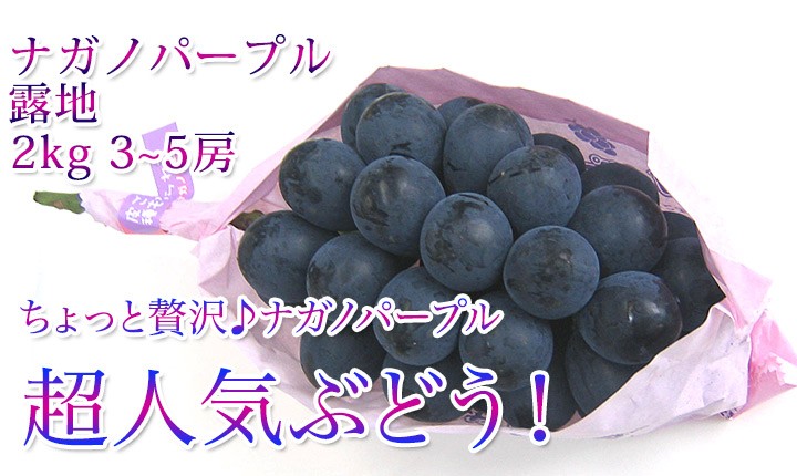 ナガノパープル 贈答用 2kg 4-5房 長野県限定生産の貴重なブドウ。