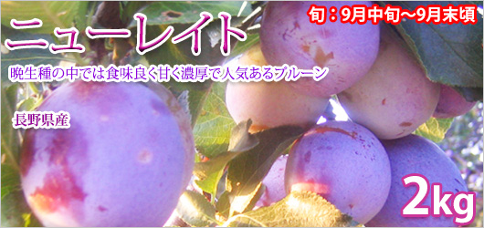 �˥塼�쥤�� 2kg