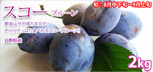�������ץ롼�� 2kg