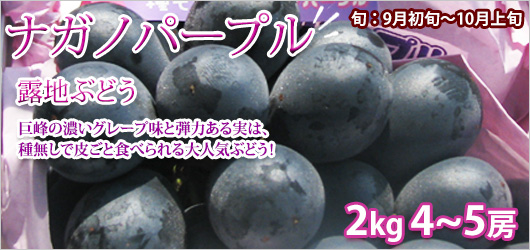 �ʥ��Υѡ��ץ� Ϫ�� 2kg
