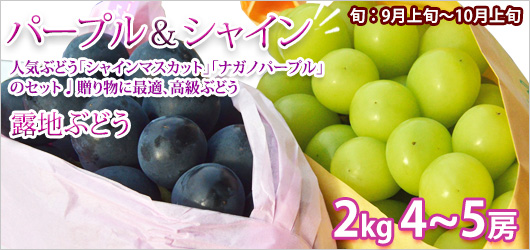 �ʥ��Υѡ��ץ� ���㥤��ޥ����å� 2kg