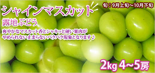 㥤ޥå2kg Ϫ