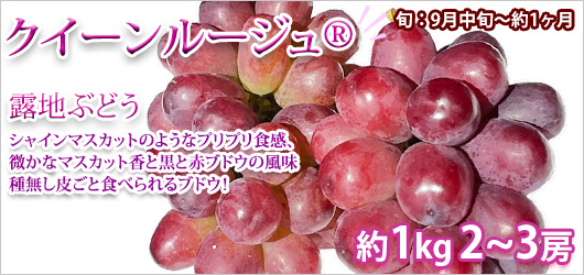 ��������롼���� 1kg