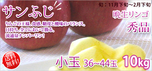 サンふじ 秀品 リンゴ
