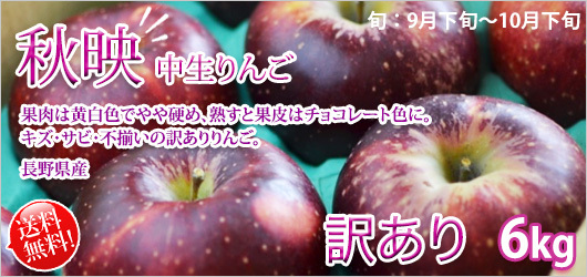 秋映 リンゴ 訳あり