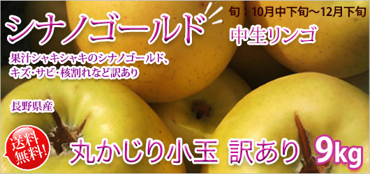 ʥΥ  ݤ 