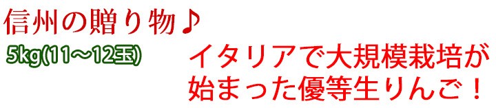 シナノゴールド 中生りんご