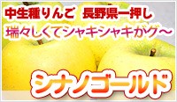シナノゴールド　りんご　長野県産
