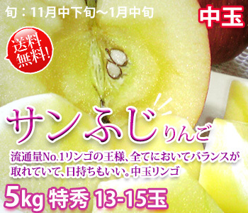 サンふじ ギフト 中玉リンゴ