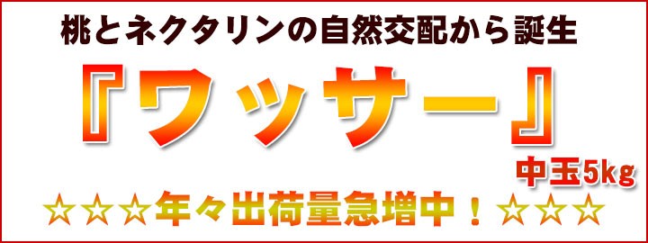 ワッサー 