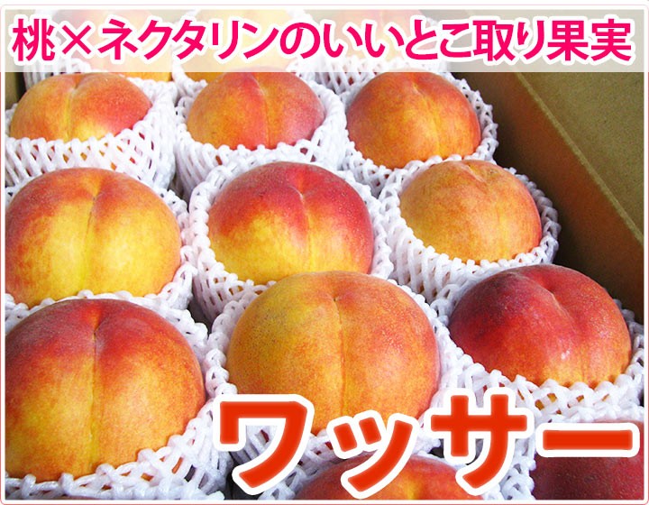 ワッサークイーン、桃とネクタリンのいいとこどり
