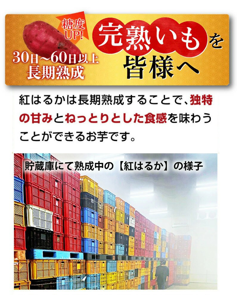 さつまいも 紅はるか A品 生芋M/Lサイズ混合 130g〜300ｇ土つき 鹿児島