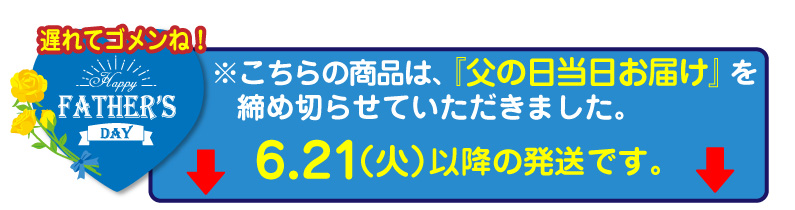 父の日遅れてごめんね