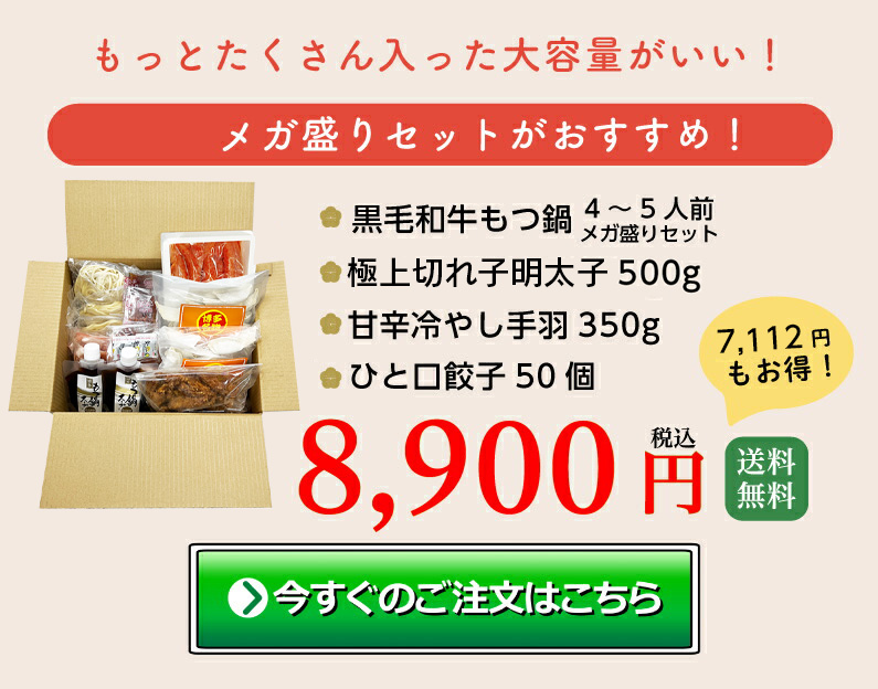 メガ盛セットはこちらから、今すぐご注文！