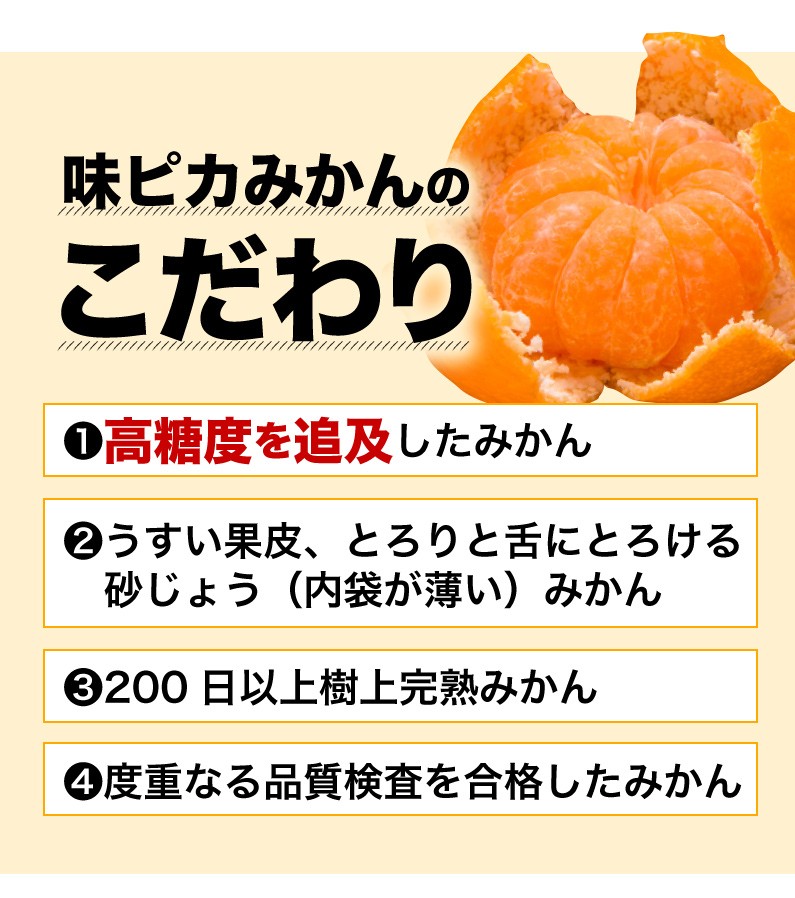川上共選 越冬完熟みかん『味ピカ 小太郎』愛媛県産 約2kg 化粧