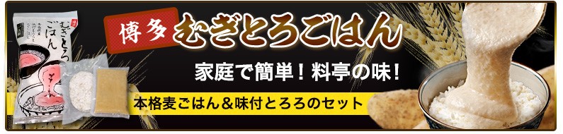 博多むぎとろごはん