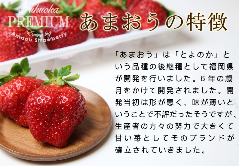いちご あまおう ギフト 完熟 苺 福岡県産 2L 15粒 デラックス